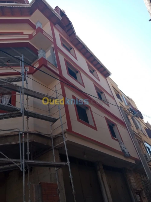 Peinture du facade en monocouche