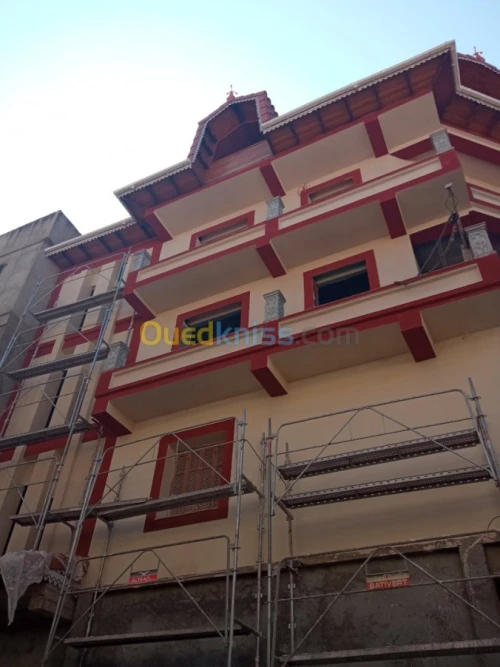 Peinture du facade en monocouche