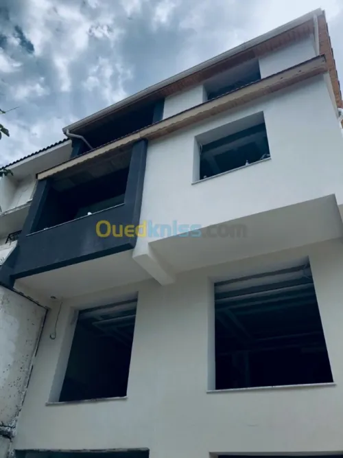 Peinture du facade en monocouche