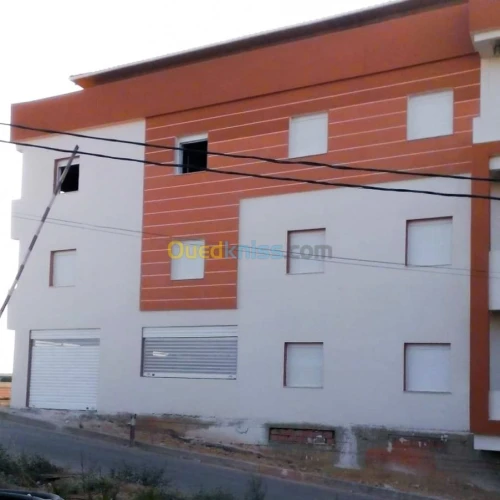 Peinture du facade en monocouche
