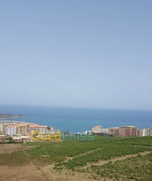 Vente Appartement F3 Boumerdès Dellys