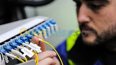 Installation fibre optique ftth et cuivre