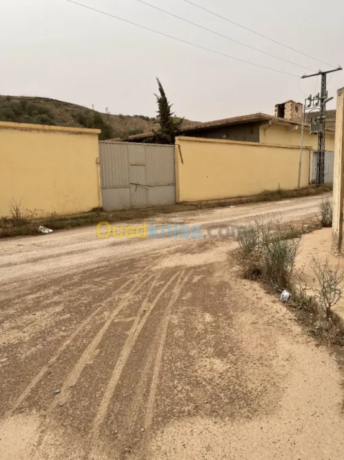 Vente Terrain Ain defla Boumedfaa