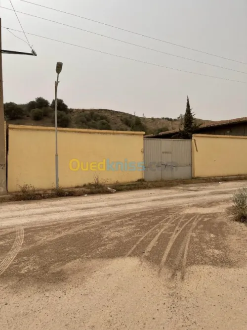 Vente Terrain Ain defla Boumedfaa