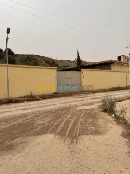 Vente Terrain Ain defla Boumedfaa