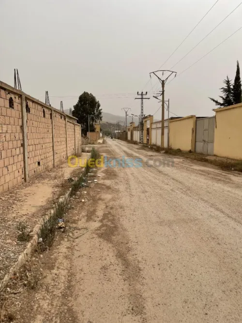 Vente Terrain Ain defla Boumedfaa
