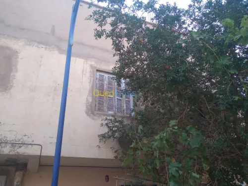 Vente Appartement F9 Bechar Bechar