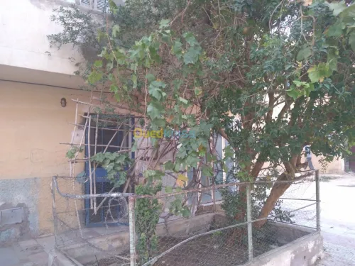 Vente Appartement F9 Bechar Bechar