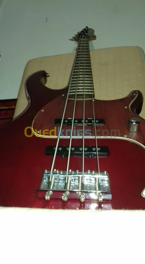 Peavey Raptor 