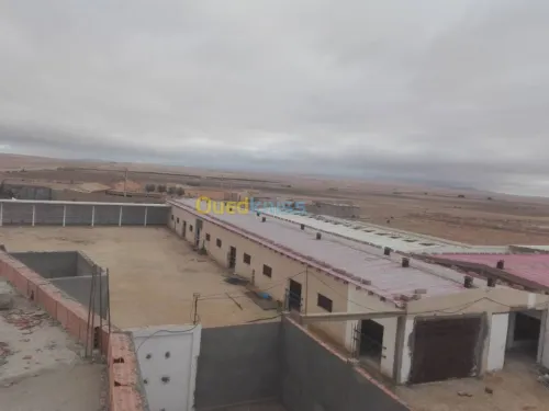 Vente Terrain Agricole Djelfa Dar chioukh