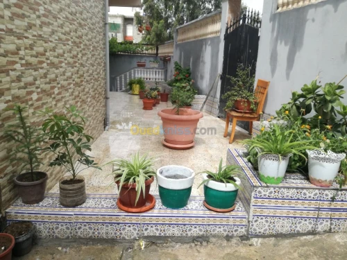 Vente Villa Guelma Oued zenati