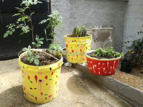 Vente Villa Guelma Oued zenati