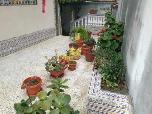 Vente Villa Guelma Oued zenati