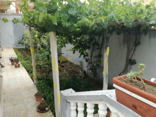 Vente Villa Guelma Oued zenati