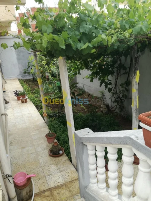 Vente Villa Guelma Oued zenati