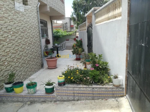 Vente Villa Guelma Oued zenati