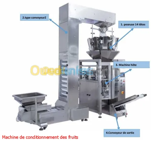 Machine de conditionnement des fruits 