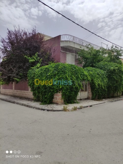 Vente Villa Constantine Constantine