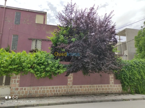 Vente Villa Constantine Constantine
