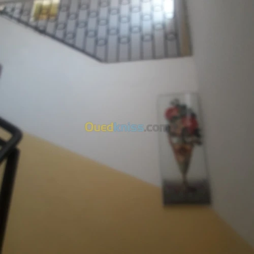 Vente Villa Boumerdes Issers