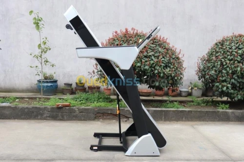 Tapis roulant électrique GM 200KG 