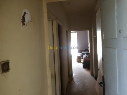 Vente Studio Alger Hydra