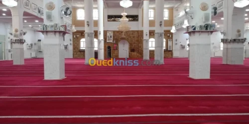 التفريش مجاني