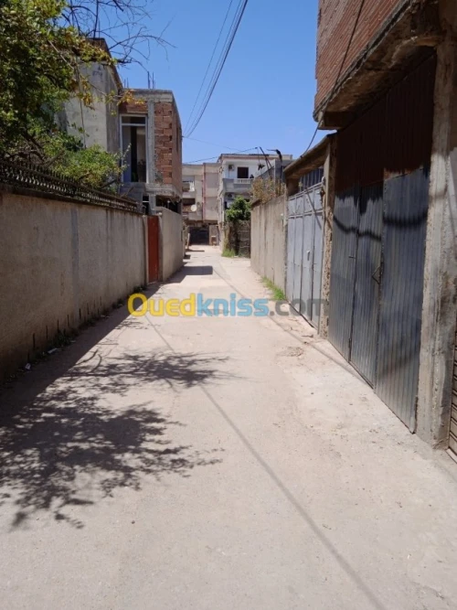 Vente Terrain Alger Reghaia