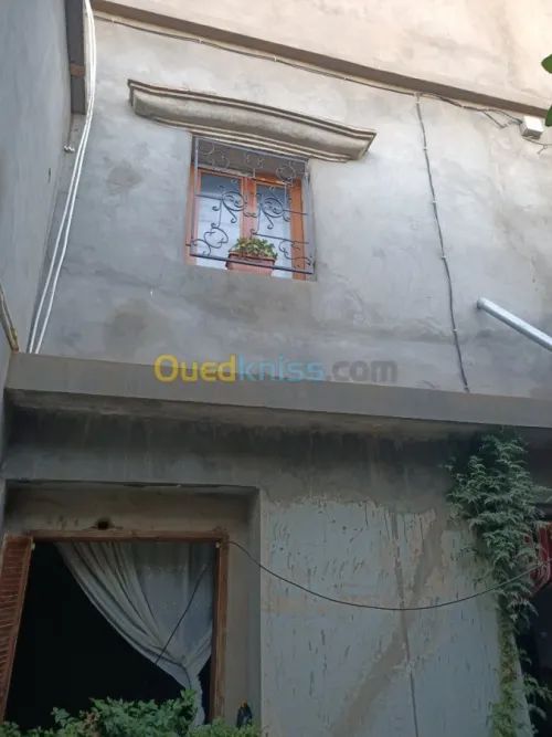 Vente Villa Tiaret Ain zarit