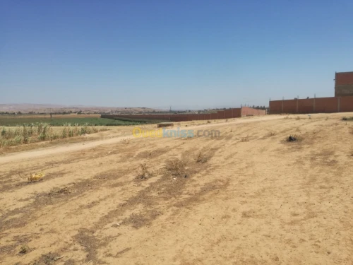 Vente Terrain Chlef Sobha