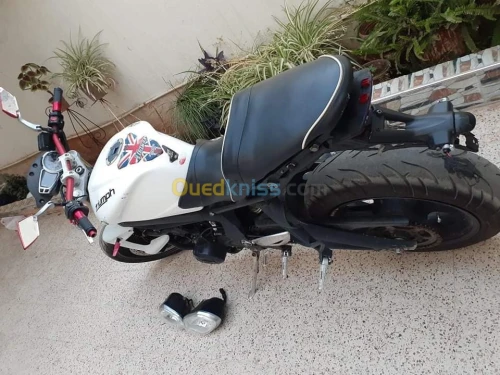 Triumph Triumph675