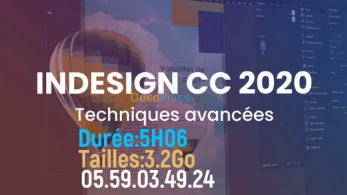 Formation Infographie (Video)