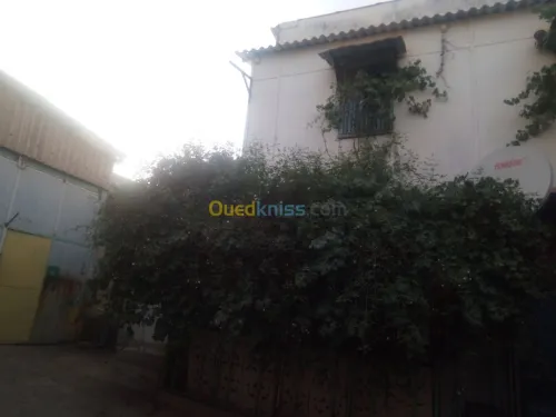 Vente Usine Constantine Constantine