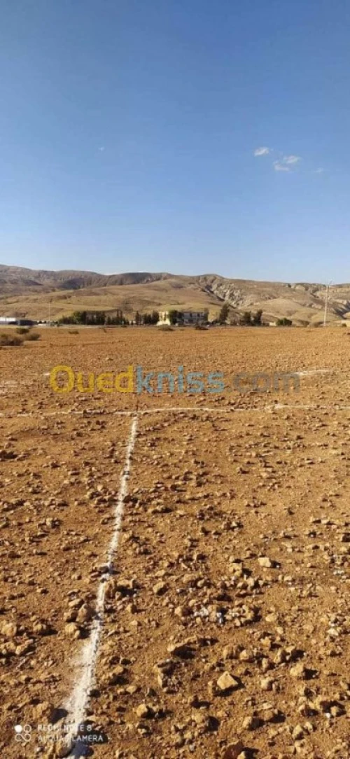 Echange Terrain Mascara Bou hanifia