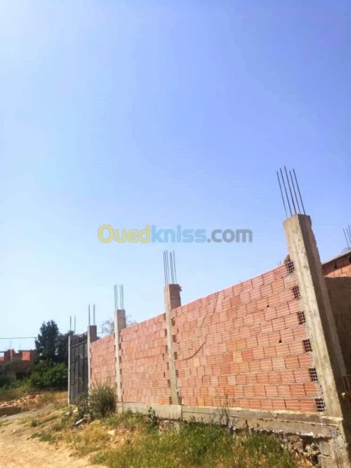 Vente Villa Ain temouchent Hassi el ghella