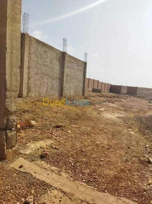 Vente Terrain Chlef Oued sly