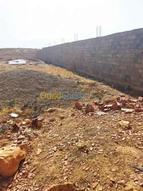 Vente Terrain Chlef Oued sly