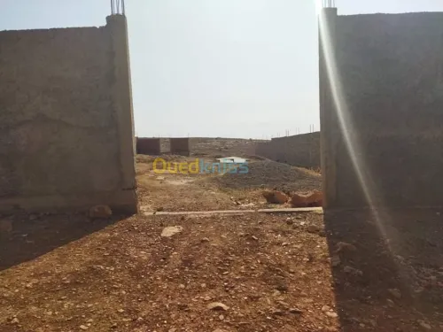 Vente Terrain Chlef Oued sly