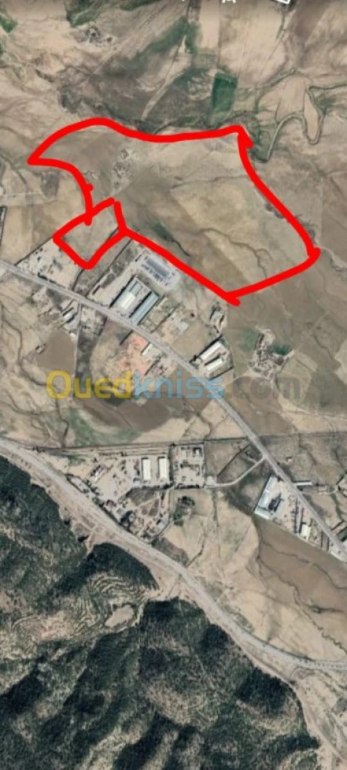 Vente Terrain Tebessa Tebessa