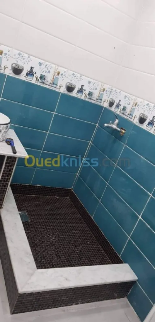 La plomberie chauffag e 