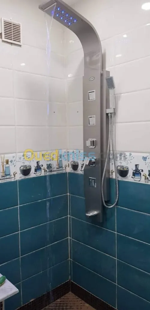 La plomberie chauffag e 