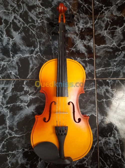Violon 4/4 y compris les accessoires.
