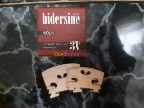 Violon 4/4 y compris les accessoires.