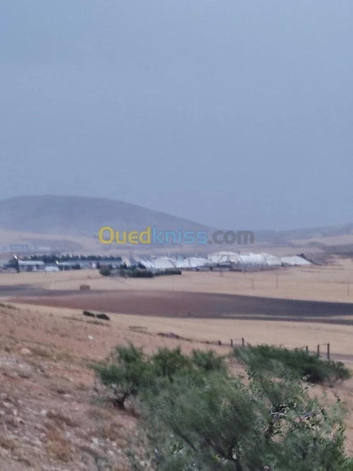 Vente Terrain Constantine El khroub