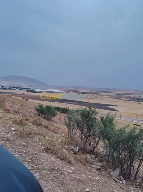 Vente Terrain Constantine El khroub