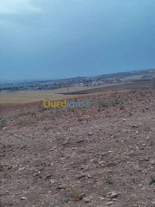 Vente Terrain Constantine El khroub