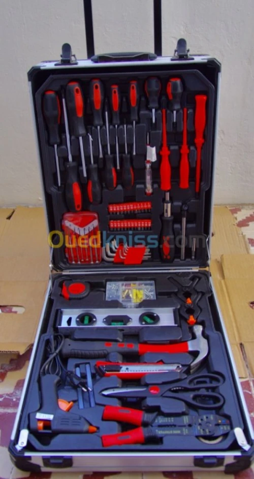 Caisse à outils professionnelle