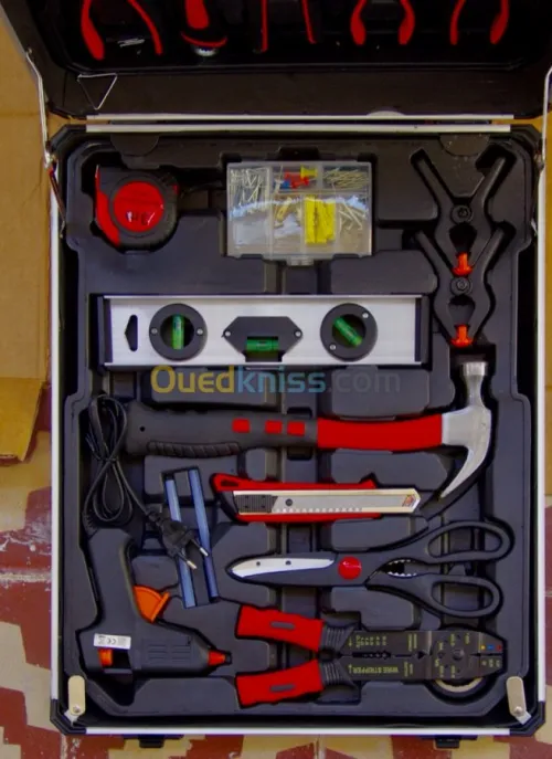 Caisse à outils professionnelle