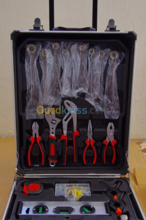 Caisse à outils professionnelle