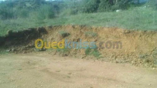 Vente Terrain Tizi ouzou Ait yahia